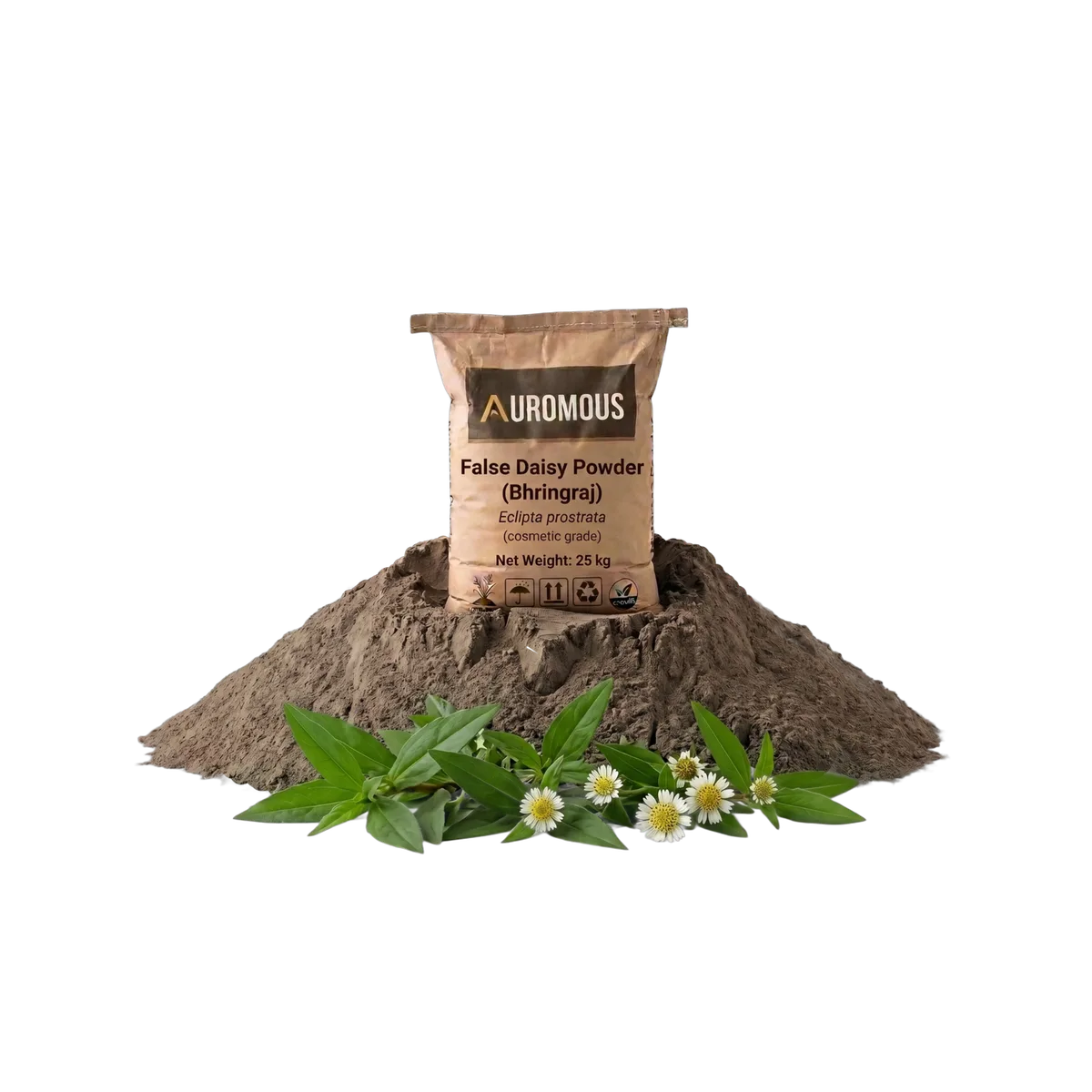 False Daisy Powder (Bhringraj)