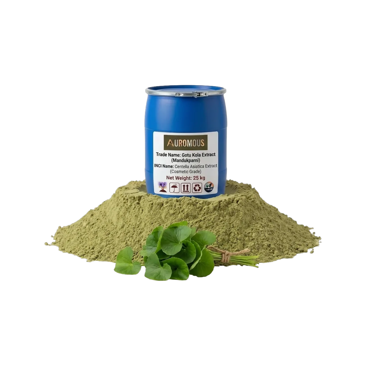 Gotu Kola Extract (Mandukparni)