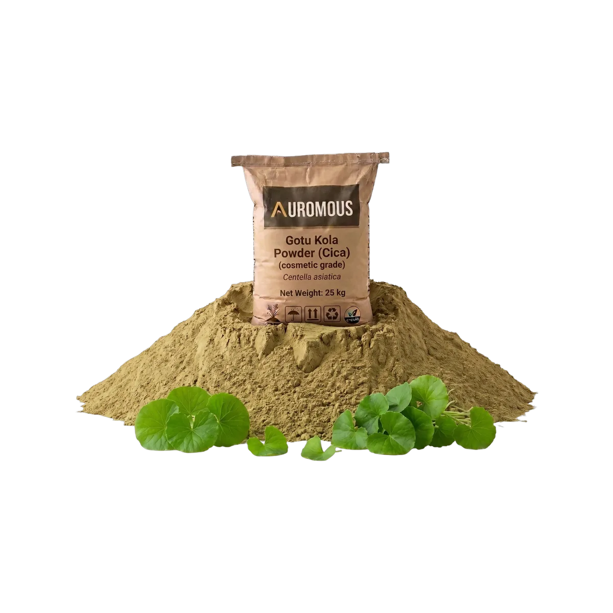 Gotu Kola (Cica) Powder