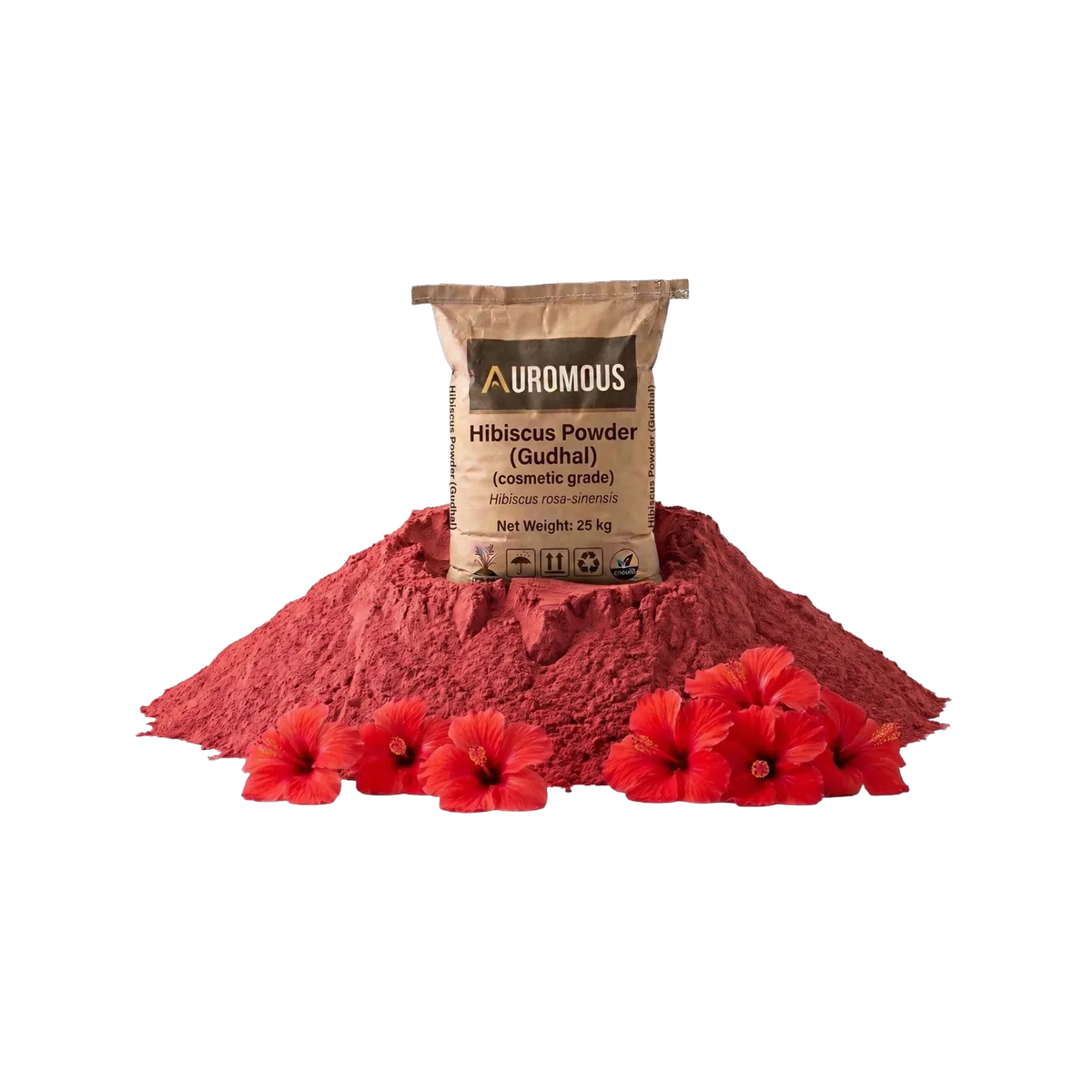 Hibiscus Powder (Gudhal)