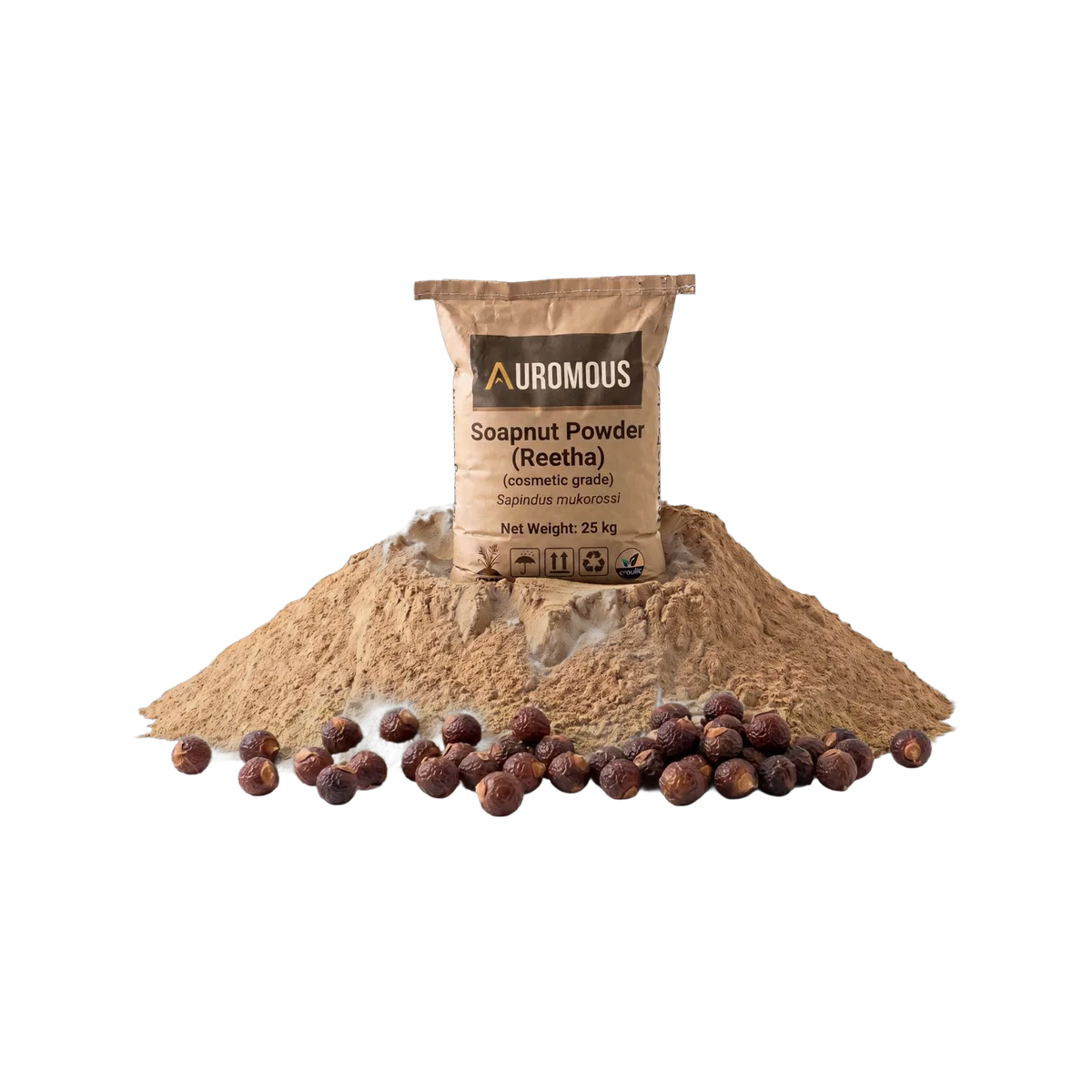 Soapnut Powder (Reetha)