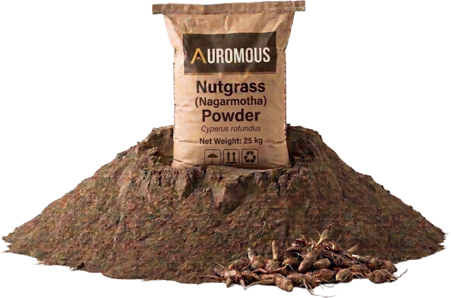 Nutgrass (Nagarmotha) Powder