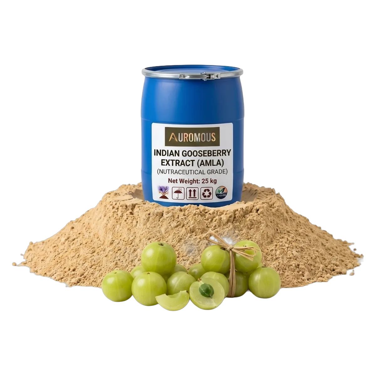 Indian Gooseberry Extract (Amla)