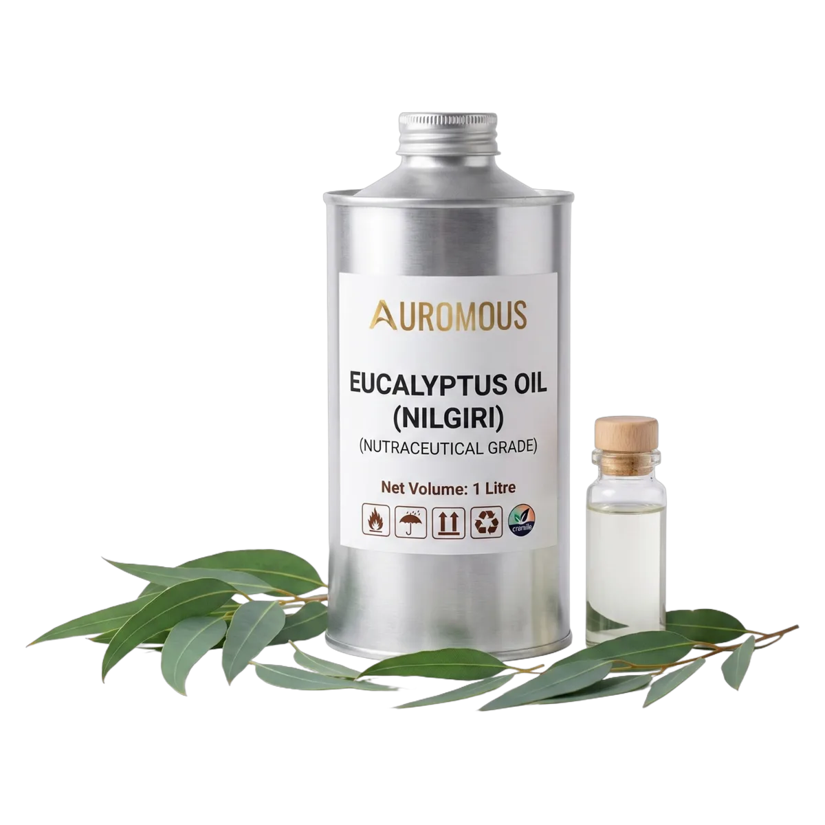 Eucalyptus Oil (Nilgiri)