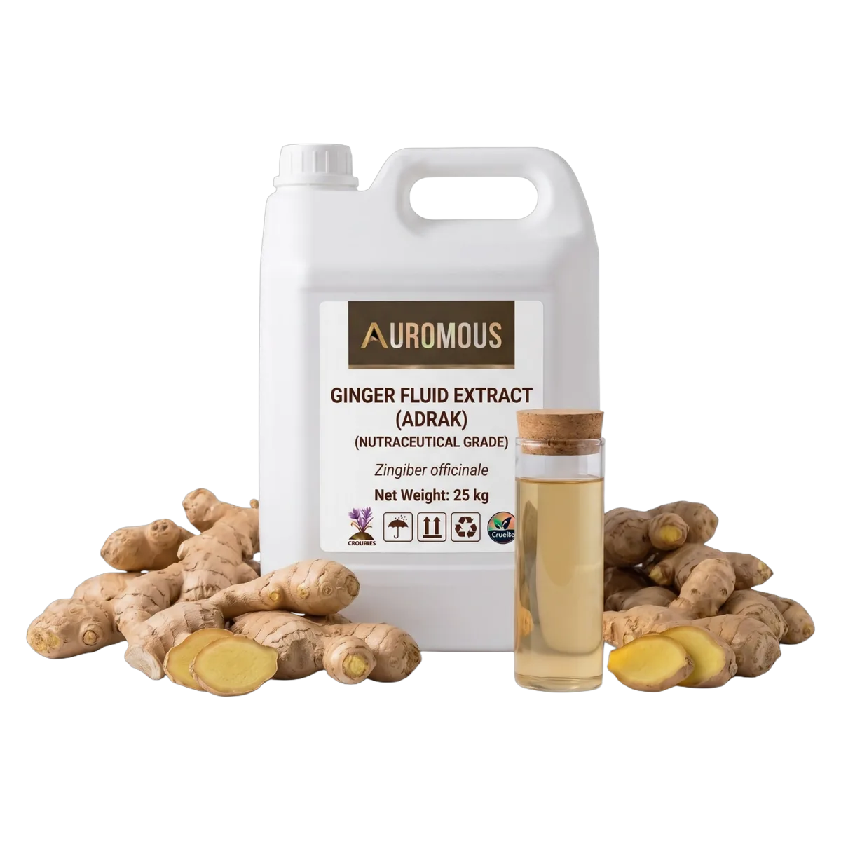Ginger Fluid Extract (Adrak)