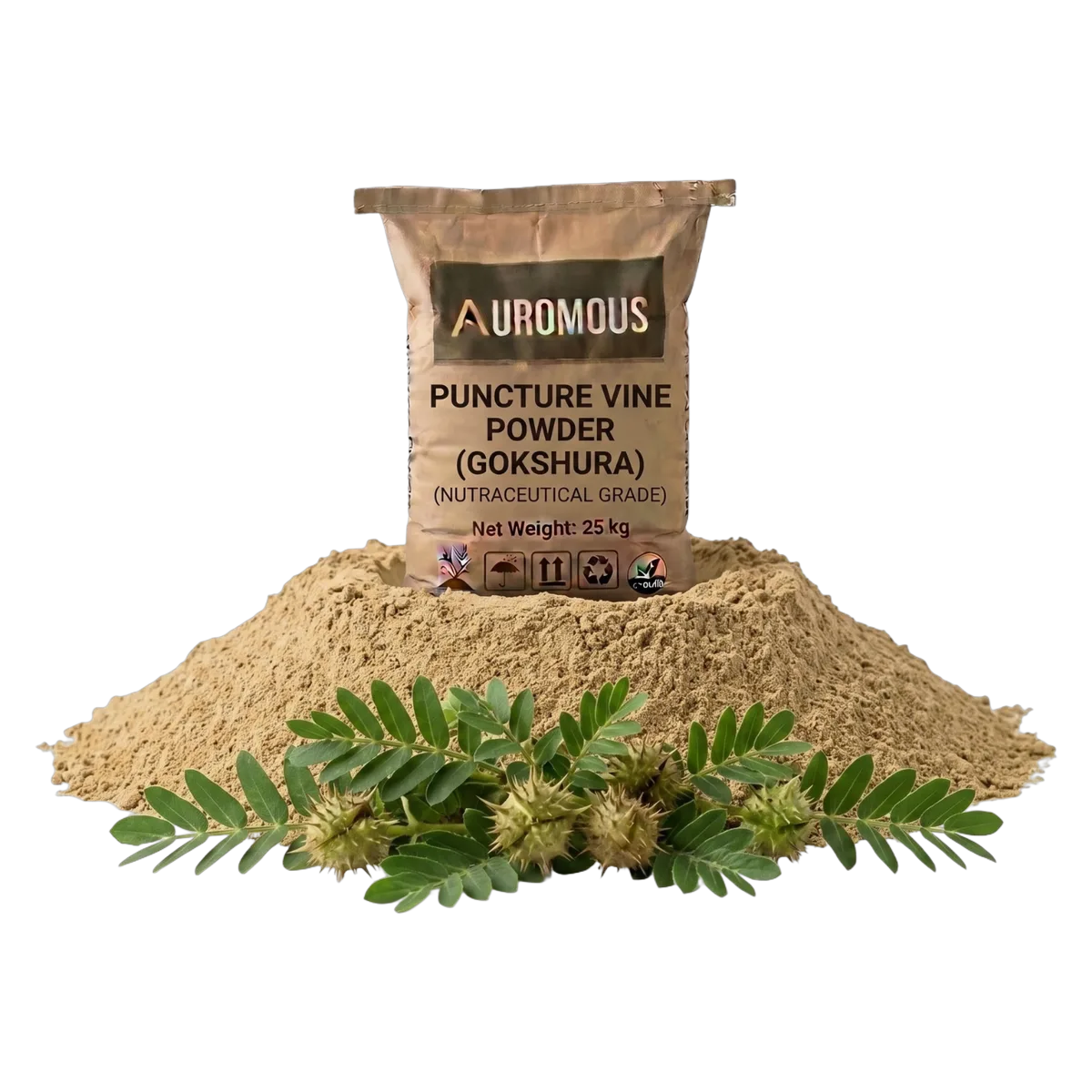 Puncture Vine Powder (Gokshura)