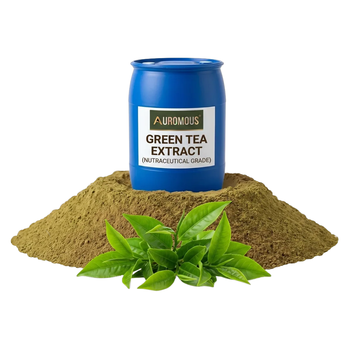 Green Tea Extract