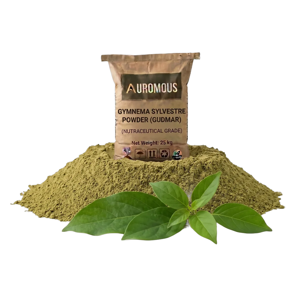 Gymnema Sylvestre Powder (Gudmar)