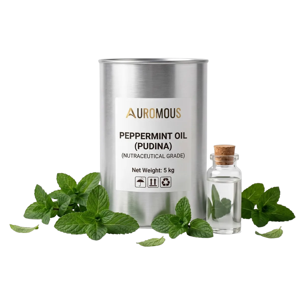 Peppermint Oil (Pudina)