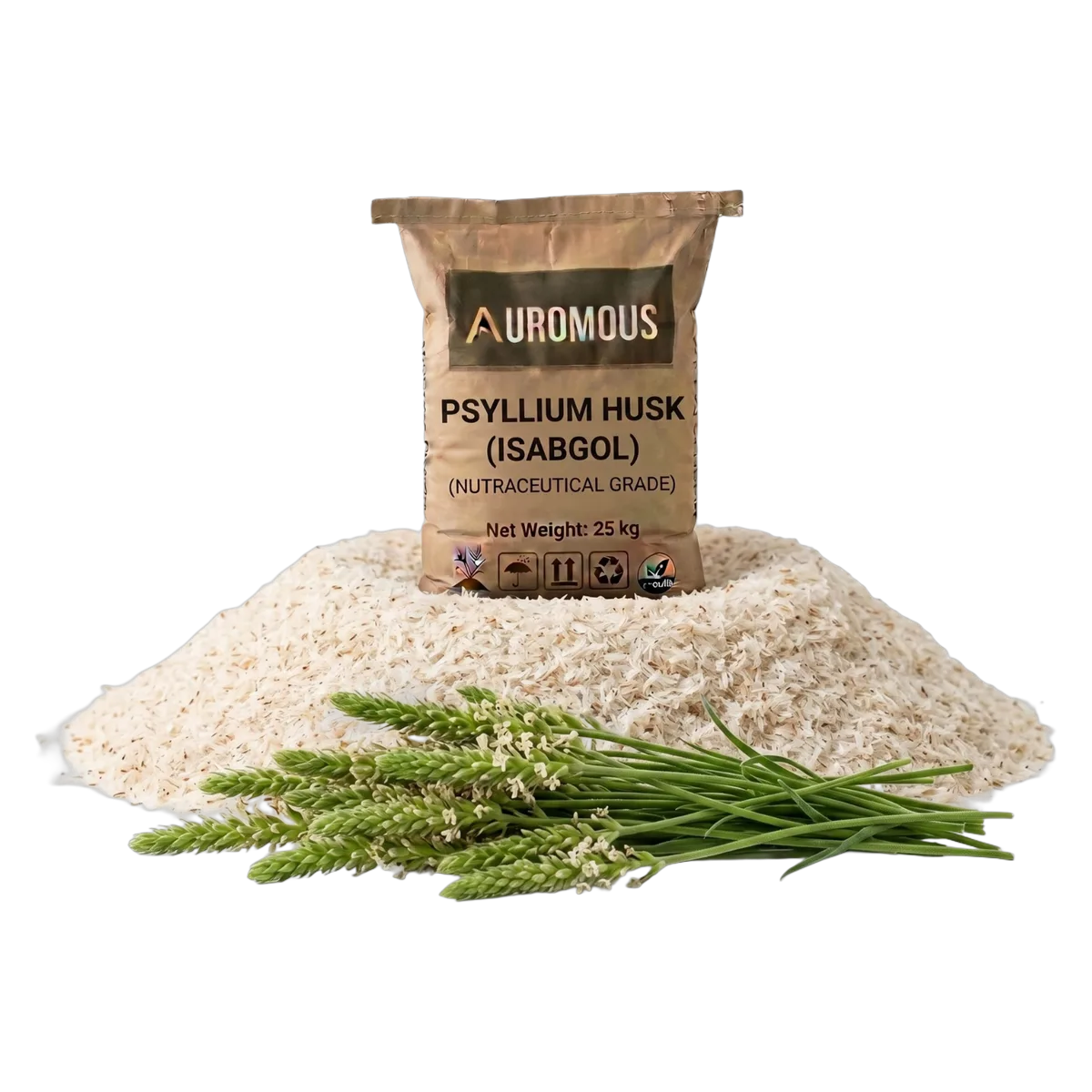 Psyllium Husk (Isabgol)
