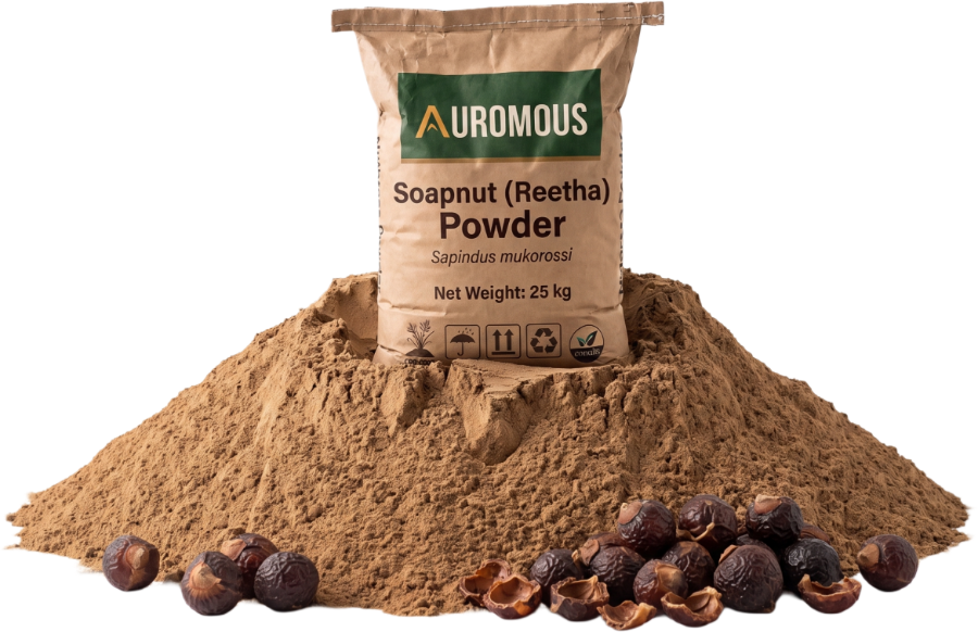 Soapnut (Reetha) Powder