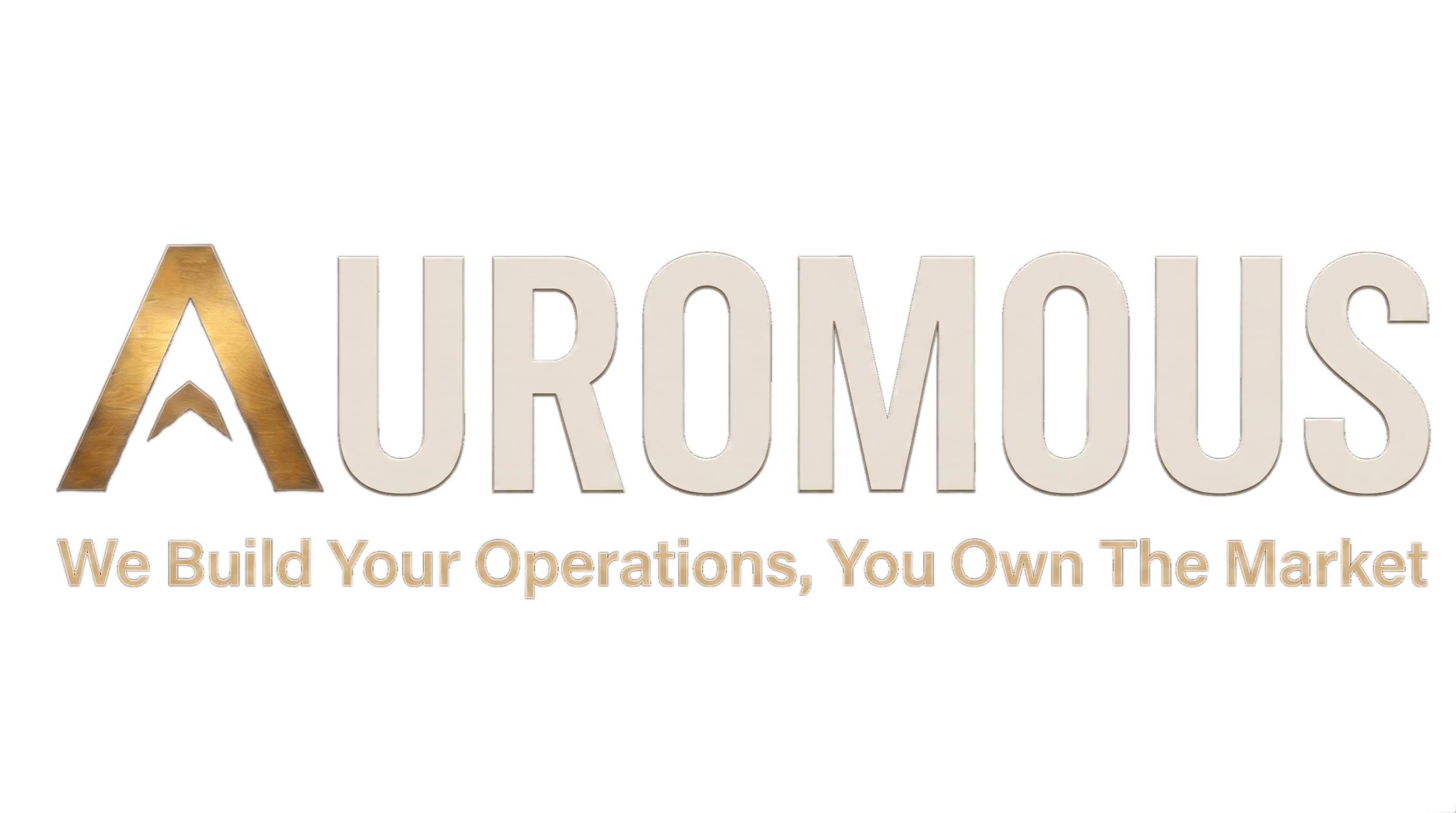Auromous — We Build Your Operations, You Own The Market